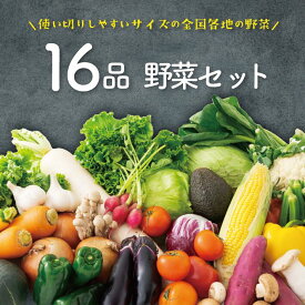 【スーパーSALE10％OFF】【本州送料無料】16品 野菜セット 野菜詰め合わせ ★ 野菜 野菜詰合せ 詰め合わせ 通販 旬 お取り寄せ お取り寄せグルメ 贈り物 食品 仕送り 上越フルーツ
