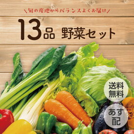 【あす配 本州送料無料】野菜セット 13品 野菜BOX 野菜 詰め合わせ 旬 食材 産地直送 新鮮 宅配 生野菜 上越フルーツ キャベツ ピーマン レタス トマト ミニトマト 人参 じゃがいも なす カリフラワー しいたけ オクラ 山うど スプラウト 野菜セット 野菜宅配