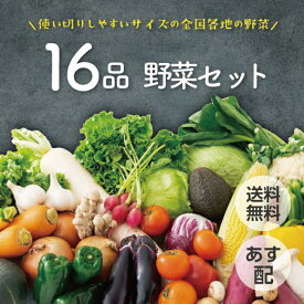 【あす配 本州送料無料】野菜セット 16品 野菜詰め合わせ 野菜BOX 野菜 詰め合わせ 旬 食材 産地直送 新鮮 宅配 生野菜 上越フルーツ キャベツ レタス じゃがいも 大根 トマト 玉ねぎ 人参 小松菜 野菜宅配