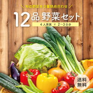 【今だけ1品増量！8月18日以降順次発送】【本州送料無料】野菜セット 12品 中身が見えて選びやすい！使い…