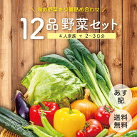 【あす配 本州送料無料】野菜セット 12品 中身が見えて選びやすい！少量ずつ使い切りやすい 旬の 野菜詰…