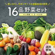 【今だけ1品増量！8月18日以降順次発送】【本州送料無料】16品 野菜セット 切るだけ・焼くだけでごはん完…