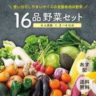 【今だけ1品増量！8月18日以降順次発送】【あす配 本州送料無料】野菜セット 16品 切るだけ・焼くだけで…