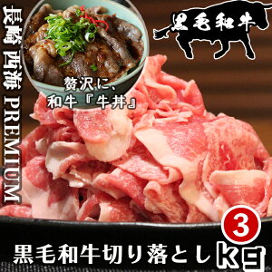 3kg 茧 Cs јa ؂藎Ƃ 3kg(500g×6pbN)  a Y  񂹃O ӂ邳Ƃ̖ Lv o[xL[ BBQ јa؂藎Ƃ a؂藎Ƃ v~A