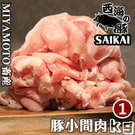 父の日 敬老の日 長崎県 秘宝 西海の豚 小間肉 1kg(500g×2パック) 1kgあたり4,800円
