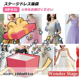 ステージドレス福袋 衣装 訳あり Aライン ロングドレス 演奏会用ドレス 結婚式 演奏会 ステージドレス 大きいサイズ 二次会 花嫁 パーティードレス 大特価セール お楽しみ サイズS〜3L 100sd01cs