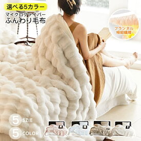 ＼レビュー特典☆枕カバー無料GET／TV・SNSで話題沸騰 毛布 ふわとろ毛布 もこもこ毛布 ふわふわ ブランケット セミダブル ハーフ 毛布 モコモコ とろとろ シングル ダブル ふわもこ ひざ掛け もうふ おしゃれ 暖かい 厚手 エコテックス 軽量 洗える 秋冬