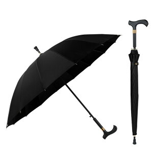 lCiI XebL P  16{ dݏ P Jp jp y ~ Y fB[X hV̓ ̓ v[g