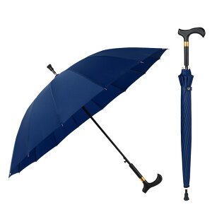  XebL P  16{ dݏ P Jp jp y ~ Y fB[X hV̓ v[g