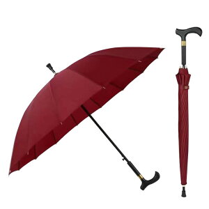  XebL P  16{ dݏ P Jp jp y ~ Y fB[X hV̓ v[g