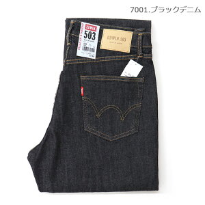 yЌ ҉100cmzEDWIN GhEC Y 503 M[Xg[gpc REGULAR STRAIGHT E50313-7000 E50313-7001