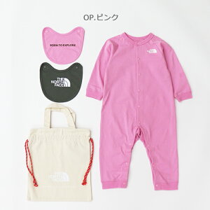 ySALE Z[ 20OFFzTHE NORTH FACE UEm[XEtFCX xr[ OX[up[X2Pru NTB82352