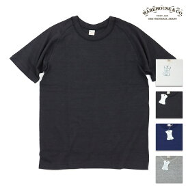 WAREHOUSE & CO. ウエアハウス Tシャツ Lot 4048 半袖フリーダムT