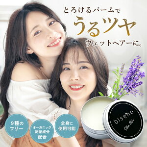 yI[KjbNF؁zwAo[ biseno wAo[ {fBo^[ 30g wAPA X^CO ێ Gꔯ 100%VRR VAo^[ z (AA}̍)