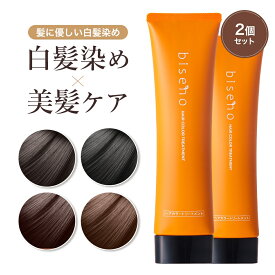 【半額クーポン！15日限定】【2本セット】【染まるのに髪に優しい】 白髪染め 女性用 トリートメント ノンジアミン 女性 白髪染 敏感肌 メンズ カラートリートメント 白髪染め biseno ビセノ 150g