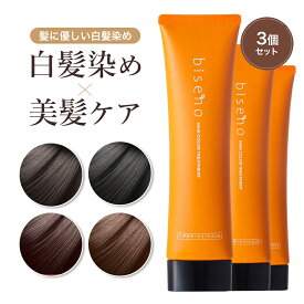 【半額クーポン！マラソン限定】【3本セット】【染まるのに髪に優しい】 白髪染め 女性用 トリートメント ノンジアミン 女性 白髪染 敏感肌 メンズ カラートリートメント 白髪染め biseno ビセノ 150g