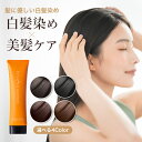 【半額！楽天スーパーSALE限定】【弱酸性で頭皮に優しい白髪染め】 白髪染め ノンジアミン 女性用 トリートメント 生え際 女性 白髪染 敏感肌 メンズ カラートリートメント 白髪染め biseno ビセノ 150g