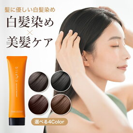 【半額！楽天スーパーSALE限定】【弱酸性で頭皮に優しい白髪染め】 白髪染め ノンジアミン 女性用 トリートメント 生え際 女性 白髪染 敏感肌 メンズ カラートリートメント 白髪染め biseno ビセノ 150g