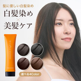 【半額クーポン！15日限定】【染まるのに髪に優しい】白髪染め 女性用 トリートメント ノンジアミン 女性 白髪染 メンズ カラートリートメント 白髪染め biseno ビセノ 150g