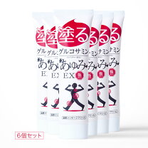 楽天市場】あゆみex 極の通販