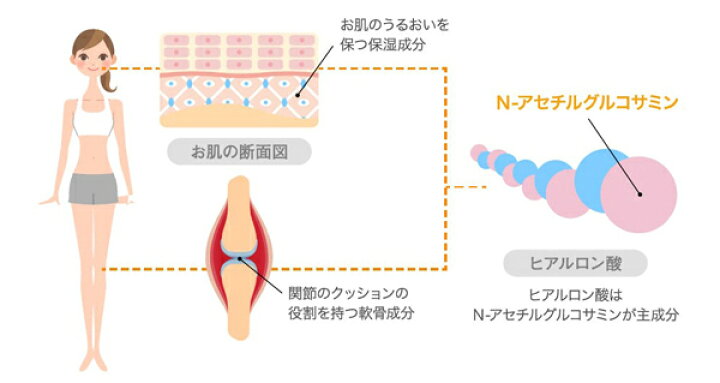 楽天市場 グルコサミン コンドロイチン 関節痛 サプリメント 併用化 サプリ グルコサミン 塗るヒアルロン酸 クリーム 肩こり 解消グッズ より 塗るグルコサミン あゆみex 100g 約30日分 ジェイ メディックス 楽天市場店