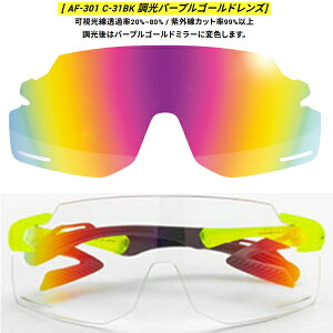 GAtC AF-301 BK ^Cv Y Pi m[YpbhX X|[c ] oCN TOX XyAY jZbNX AirFly ZYGOSPEC 25ET