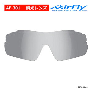 GAtC AF-301 X|[c TOX  Y Pi m[YpbhX XyAY jZbNX AirFly ZYGOSPEC Kl ዾ OT St 25ET