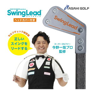 y22NfzSt [ ƃvďC ] XCO[h BZL-K01 XCOK Swing Lead