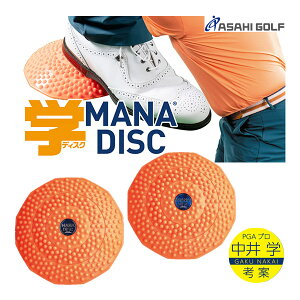 �y22�N���f���z�����S���t �w�f�B�X�N [ ���� �w�v���l�� ] �}�i�f�B�X�N BZL-N01 �X�C���O���K�� MANA DISC