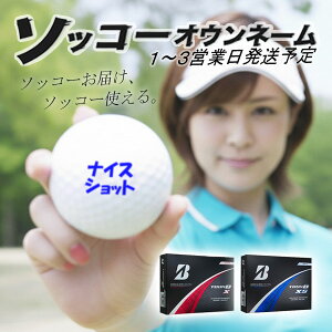  St{[ \bR[IEl[ TOUR B X / XS uaXgSt 1_[X 12 1`3cƓ MtgΉ BRIDGESTONE 24B ̓ a