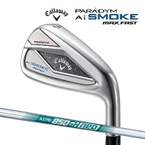 美品】パラダイムPARADYMMAXFAST AWスチールS