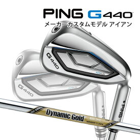 特注 ピン G440 アイアン5本セット Dynamic Gold EX TOUR ISSUE スチールシャフト PING GOLF ジー440 ダイナミックゴールド ツアーイシュー IRON 25C