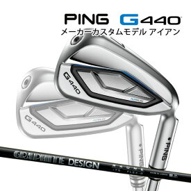 特注 ピン G440 アイアン単品 RAUNE カーボンシャフト PING GOLF ジー440 ラウネ IRON 25C