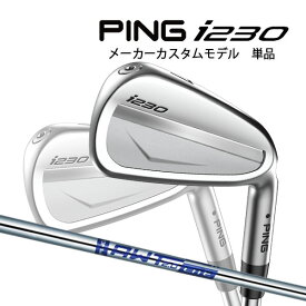 ♪【特注】【23年モデル】ピン i230 アイアン単品 [AWT 2.0 ライト] スチールシャフト PING GOLF IRON LITE