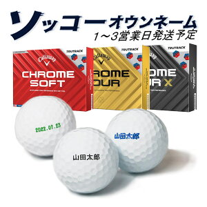  St{[ \bR[IEl[ LEFC CHROME gD[gbN 1_[X 12 1`3cƓ MtgΉ TRUTRACK N\tg cA[ 24B