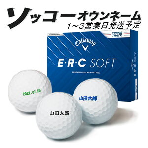  St{[ \bR[IEl[ LEFC ERC \tg 25Nf 1_[X 12 1`3cƓ Callaway EEREC SOFT 25B