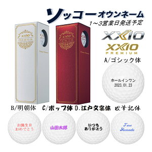 3y3\bR[IEl[zSt{[ v~A9 1`3cƓ [NVI 1X[u(3) XXIO PREMIUM 24B MtgΉ ̓ a