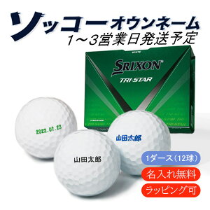  St{[ \bR[IEl[ gCX^[5 XN\ 1_[X 12 1`3cƓ MtgΉ SRIXON DUNLOP TRI STAR 24B ̓ a