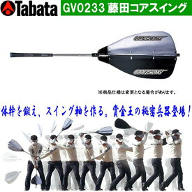 【24年継続モデル】タバタ ゴルフ GV0233 メンズ 藤田コアスイング (Men's) Tabata GOLF Fujita コアスイング