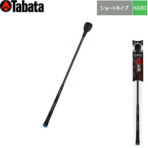 ^o^ St GV-0232SHgl[hXeBbN V[g^Cv [n[h^Cv] TORNADOSTICK Tabata 25ET
