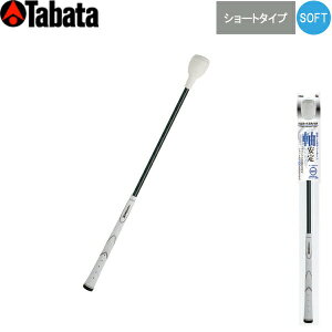 y24Npfz^o^ St GV-0232SS gl[hXeBbN V[g^Cv [\tg^Cv] TORNADOSTICK Tabata