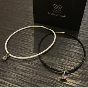 4N[o[NX X|[clbNX BgCg TRIANGLEf 4clovercross