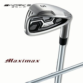マキシマックス アイアンセット 6本 スチールシャフト ワークスゴルフ