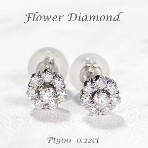 Pt900y0.22ctzt[`[t _Ch X^bhsAX yzy萔zyiۏ؏z_CsAX v`i PT _C sAX _CA lC  fB[X WG