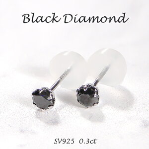 SV925y0.3ctzꗱ ubN_Ch X^bhsAX yzy萔zyiۏ؏zꗱ_CsAX SV Vo[ ЂƗ _C sAX ubN_C lC  