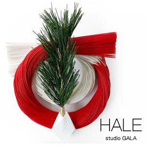 yX[p[SALEN[|sIzStudio GALA X^WIK HALE Ly MZ110  g  [X Ǌ|  CeA N Vt