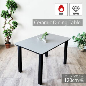 Z~bNe[u 120cm _CjOe[u  ϔM ϖ  k_ WpfB` Mɋ LYɋ V Vv4lp H 