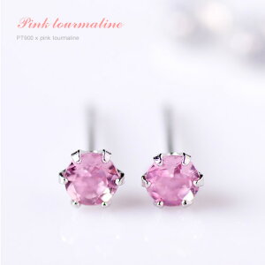 yP10{zsAX fB[X sNg}sAX PT900 v`isAX ꗱsAX X^bhsAX pXeJ[ LfB[J[ i tH[} p[eB[  20 30 40 50