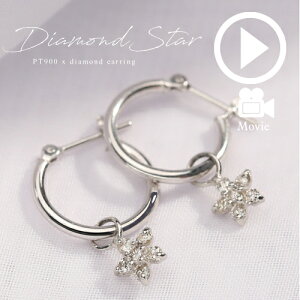 yP10{zsAX fB[X pt900 t[vsAX   _ChsAX _CsAX h 2way 0.24ct v`isAX i tH[} p[eB[  20 30 40 50  