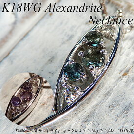 　[ジュエリークイーン][スピード配]ホワイトゴールド(K18WG) アレキサンドライトネックレス(A 0.28ct/D 0.05ct/希少石/レアストーン/カラーチェンジ/2WAY/6月誕生石)【ハイクラス】【宝石 ジュエリー】【プレゼント】【刻印無料】*